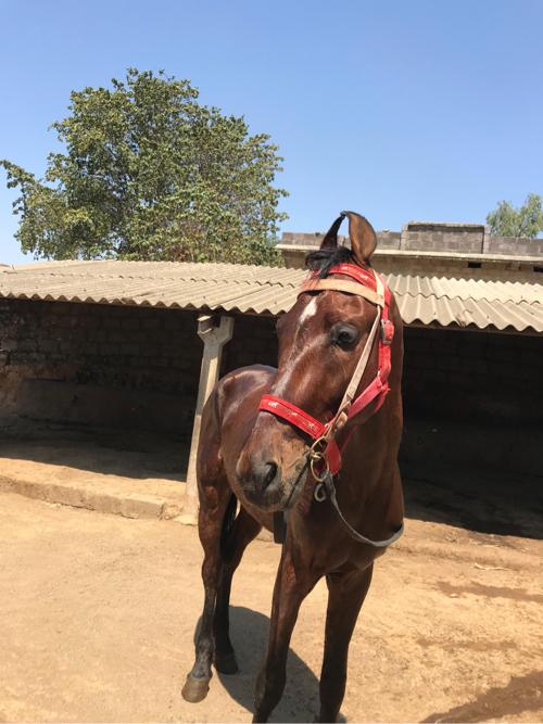 થંબનેલ 2