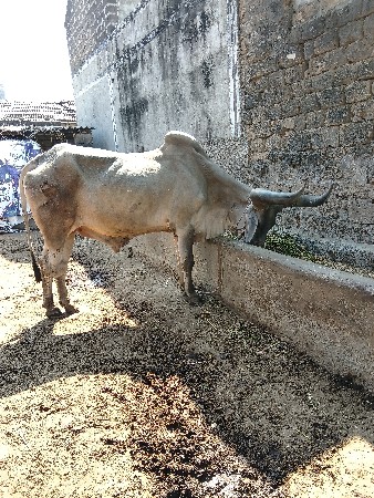 थंबनेल 3