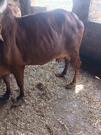 थंबनेल 2