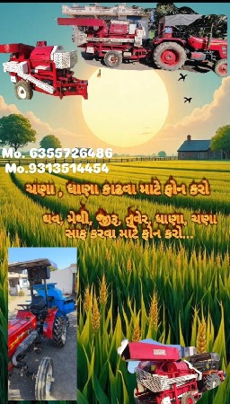 ઘઉં ક્લીનિંગ કરવા માટે સંપર્ક કરો