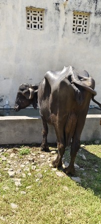 थंबनेल 2