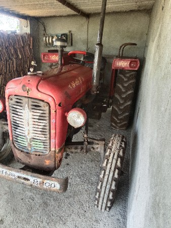 थंबनेल 3