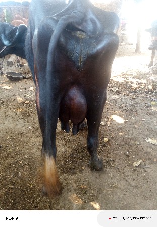 थंबनेल 2