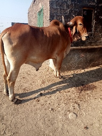 थंबनेल 2