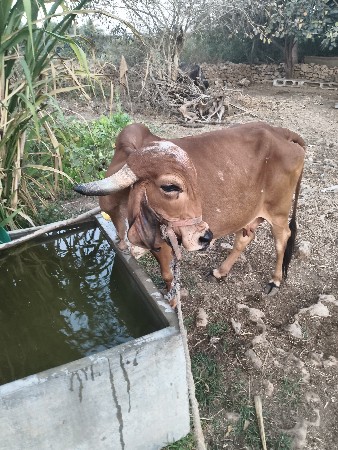 थंबनेल 3