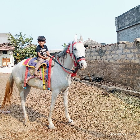 થંબનેલ 3