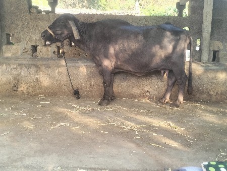 थंबनेल 2