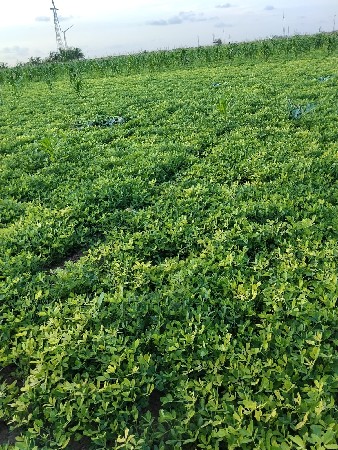 જમીન લેવાની છે પાણીવારી