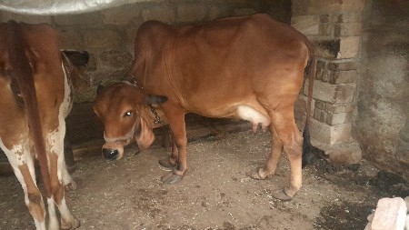 थंबनेल 2