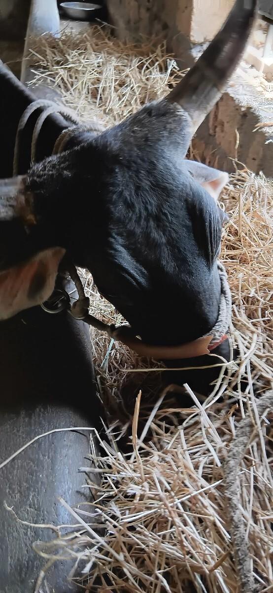 थंबनेल 2