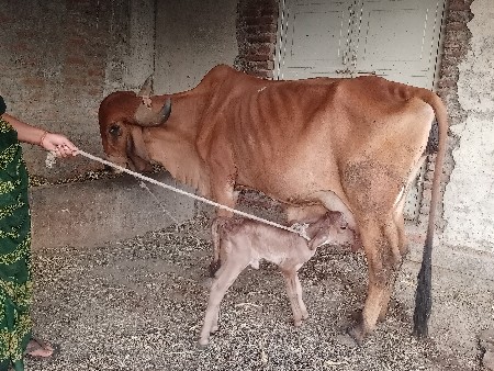 थंबनेल 3