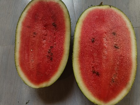 તરબુજ🍉