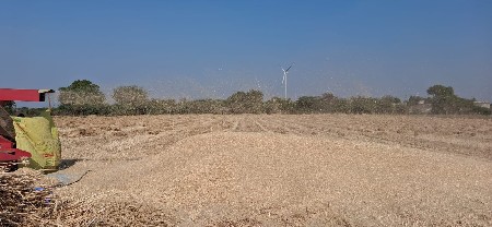 10 વીઘા નું ઘઉં નું કુવડ વેચવાનુ