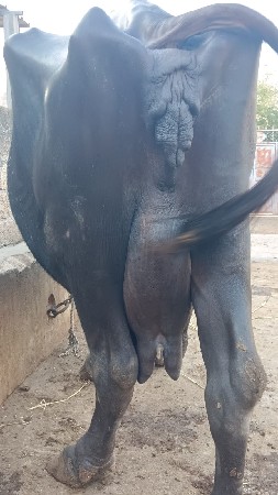 थंबनेल 2