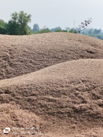તુવેર નો ભુકો