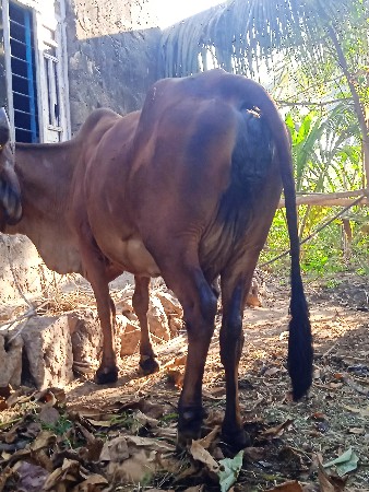 थंबनेल 2