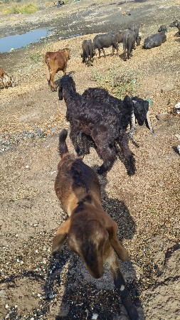 थंबनेल 3