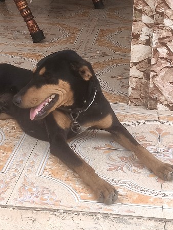 થંબનેલ 3