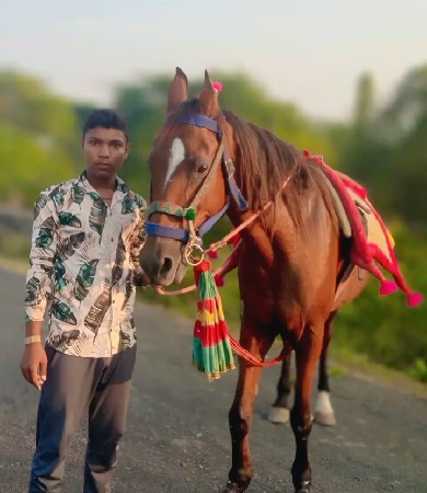 ઘોડી વેચવાની છે વસે રે વેચવાની છે