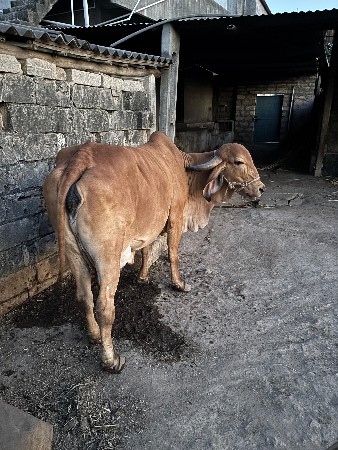 थंबनेल 2