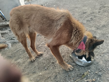 थंबनेल 4