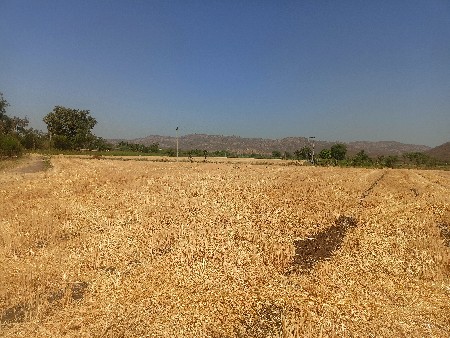 ફાર્મેં દેવાનું છે