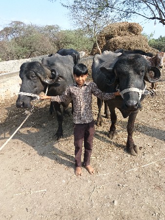 થંબનેલ 3