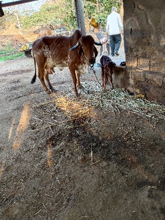 थंबनेल 3