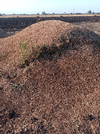 તુવેરનો પાલો વેચવાનો છે.