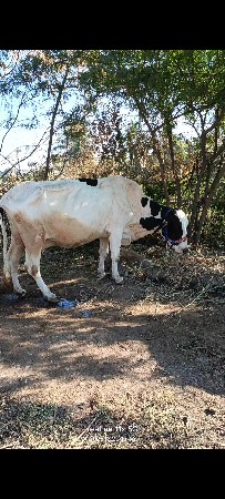 थंबनेल 5