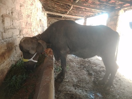 थंबनेल 2