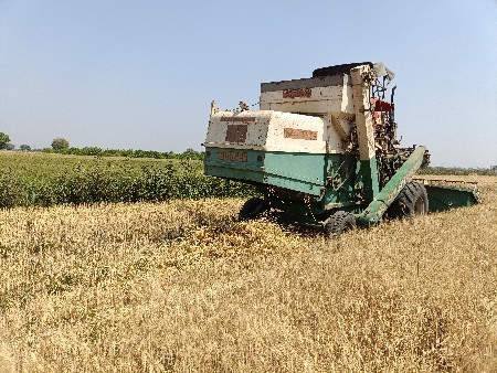 કટર વેચવાનું છે