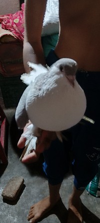 थंबनेल 3