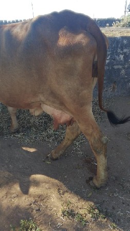 थंबनेल 2