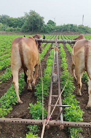 થંબનેલ 3