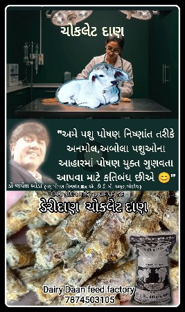 થંબનેલ 4