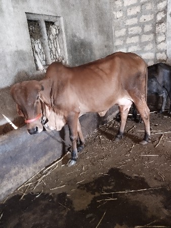 थंबनेल 3