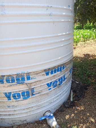 પાણીનો ટાકો