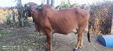 थंबनेल 3