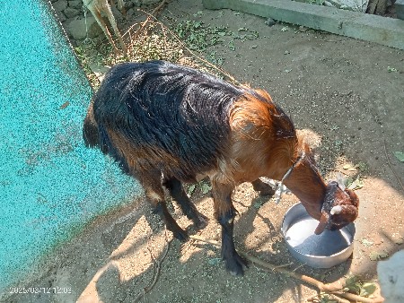 થંબનેલ 2