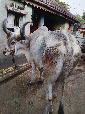 थंबनेल 2