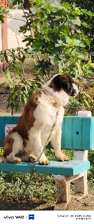 થંબનેલ 3