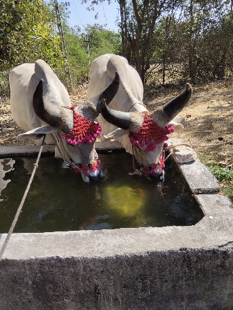 થંબનેલ 2