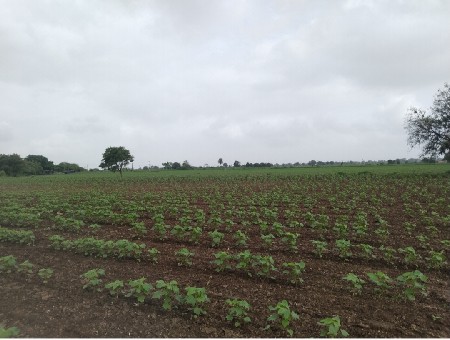 જમીન ભાગ માં આપવાની છે