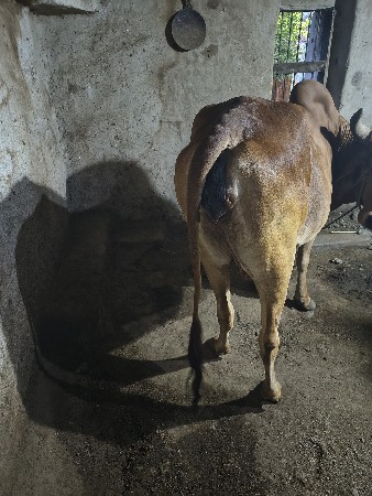 थंबनेल 2