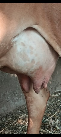 થંબનેલ 1