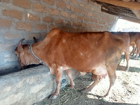 थंबनेल 2