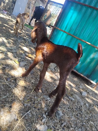 થંબનેલ 2