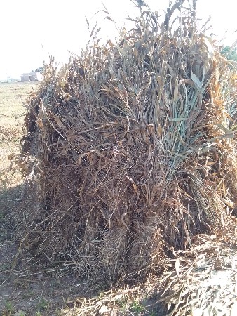 સાર.વેચવાની.છે.મીઠી.