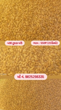 ઘઉં (૪૯૬) ‌ટુકડા